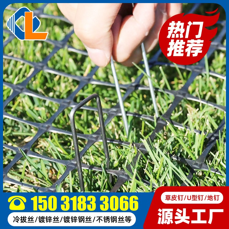 草皮釘什么牌子好 草坪釘直釘 人工地釘 U型錨釘